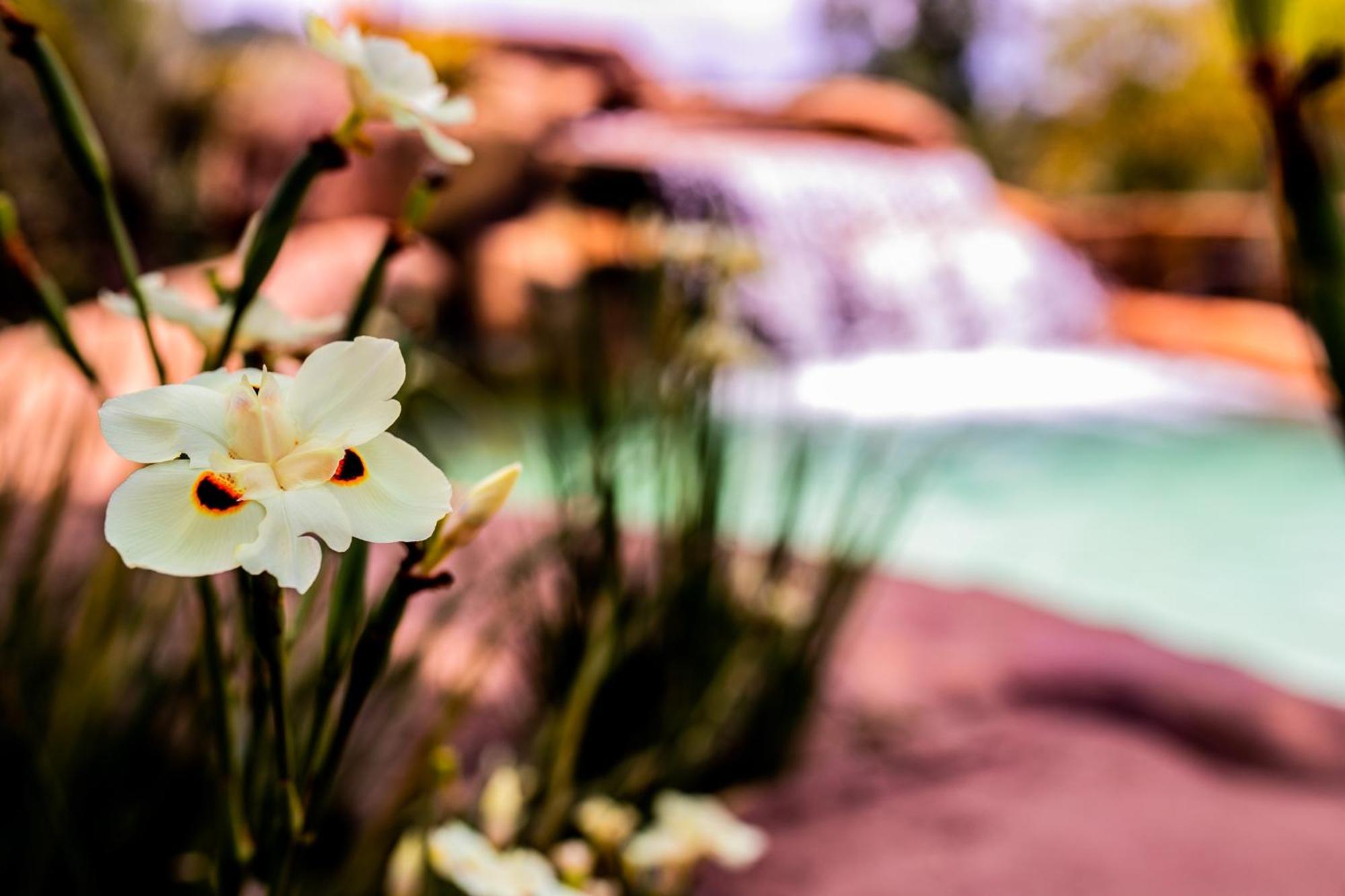 Hotel Fazenda Horizonte Belo Brumadinho Exterior photo